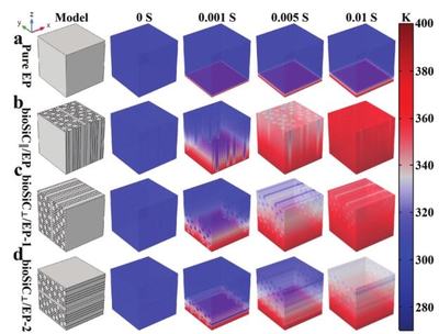 西安交大楊建鋒、王波《Adv.Sci.》 木材衍生3D SiC框架賦能，創制導熱率達10.27W/mK的高性能復合材料